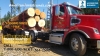 LOGGING COMPANY, TIMBER SERVICES, LAND CLEARING TR Logging near Pierce, Kitsap County, WA 