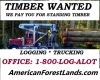 Washington Timber Service, Log Buyer, American Forest Land Logging WA Trees Pacific NW