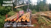 Self Loader Log Hauling, Logging Trucks for hire Timber Transportion Washington Logs