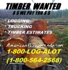 Logging Company Land Clearing Services Auburn Port Orchard Enumclaw WA Tree Service