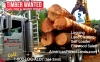 BEST Timber Logging Company PACIFIC NW Land Clearing TREES WA LOGGER Pierce Kitsap County 