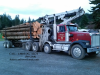 LAND CLEARING SERVICE LOGGING TIMBER COMPANY KING PIERCE KITSAP NW