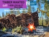 WANTED TIMBER 1-800-LOG-ALOT- LOGGING CEDAR LAND CLEARING, Maple  Valley Auburn Ravensdale
