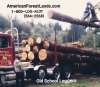 TIMBER LOGGING TREES PACIFIC NORTHWEST LOGGERS, Seattle, Tacoma, King, Snohomish, Kitsap