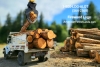 FOR SALE Firewood LOGS or SPLIT CORDWOOD- LOG LOADS King, Pierce County WA 