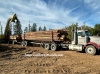 WA LOGGING COMPANY TREE CLEARING TIMBER CO. Bonney Lake, Port Orchard Enumclaw NW WA 