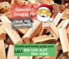 FIREWOOD SALES** DUMP TRUCK LOG LOADS, CORDS, CORDWOOD Auburn, Maple Valley, Enumclaw WA